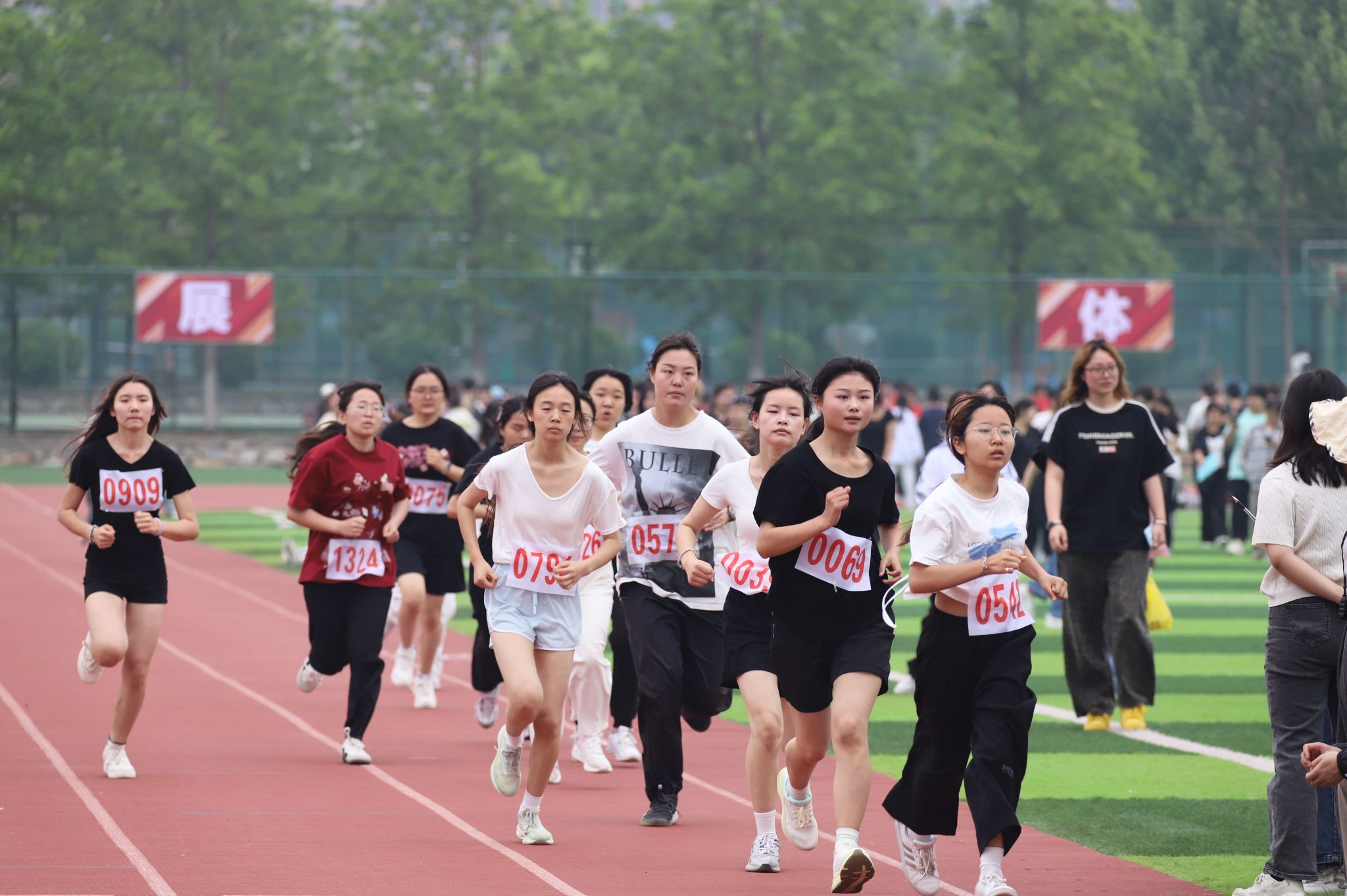 76B818C35B8ED60B6D6525B5C55_0AB366F2_43221