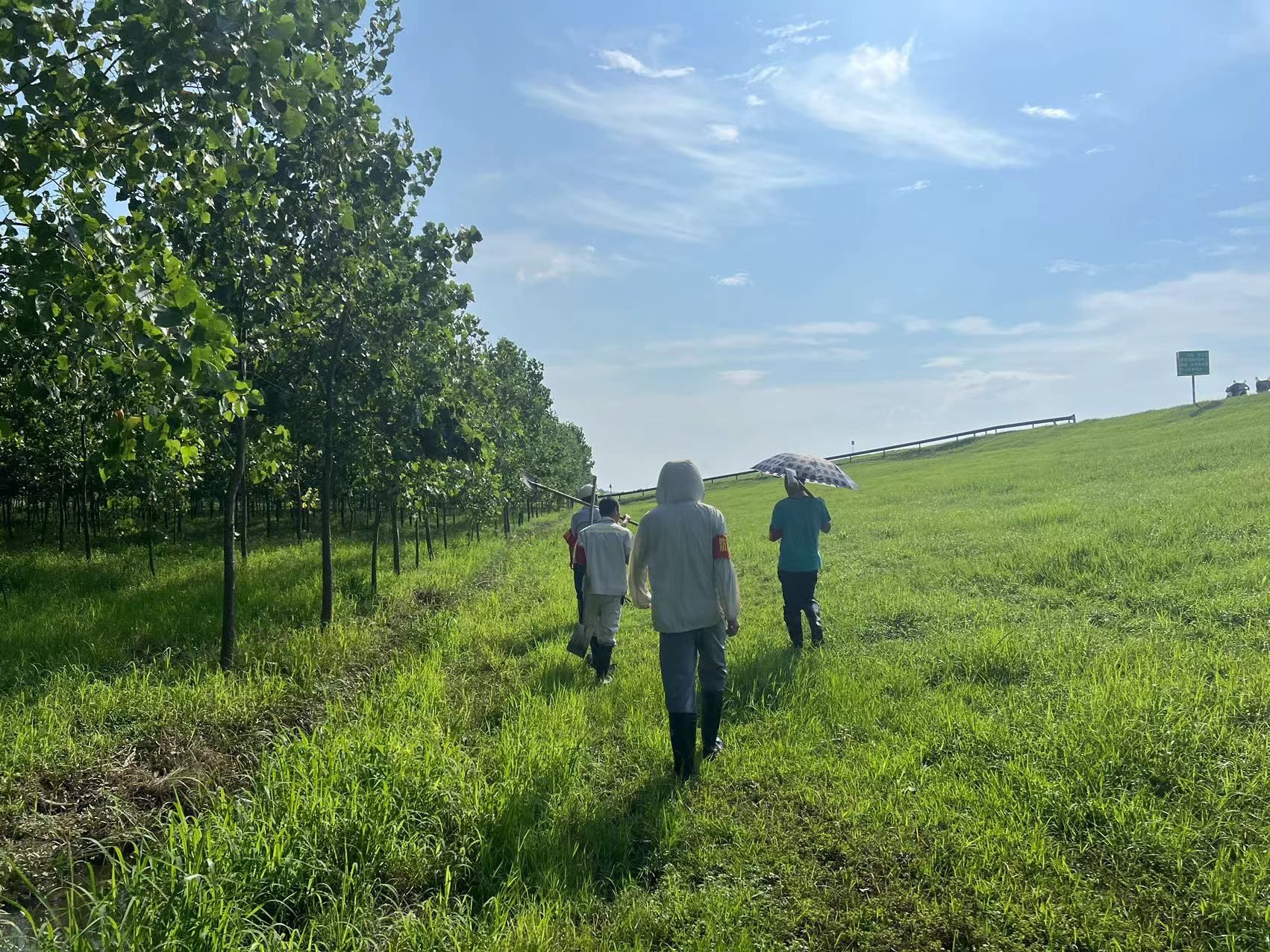 AA4DF4DF81B27CAD86EF01B9F97_080D2E09_8EA33