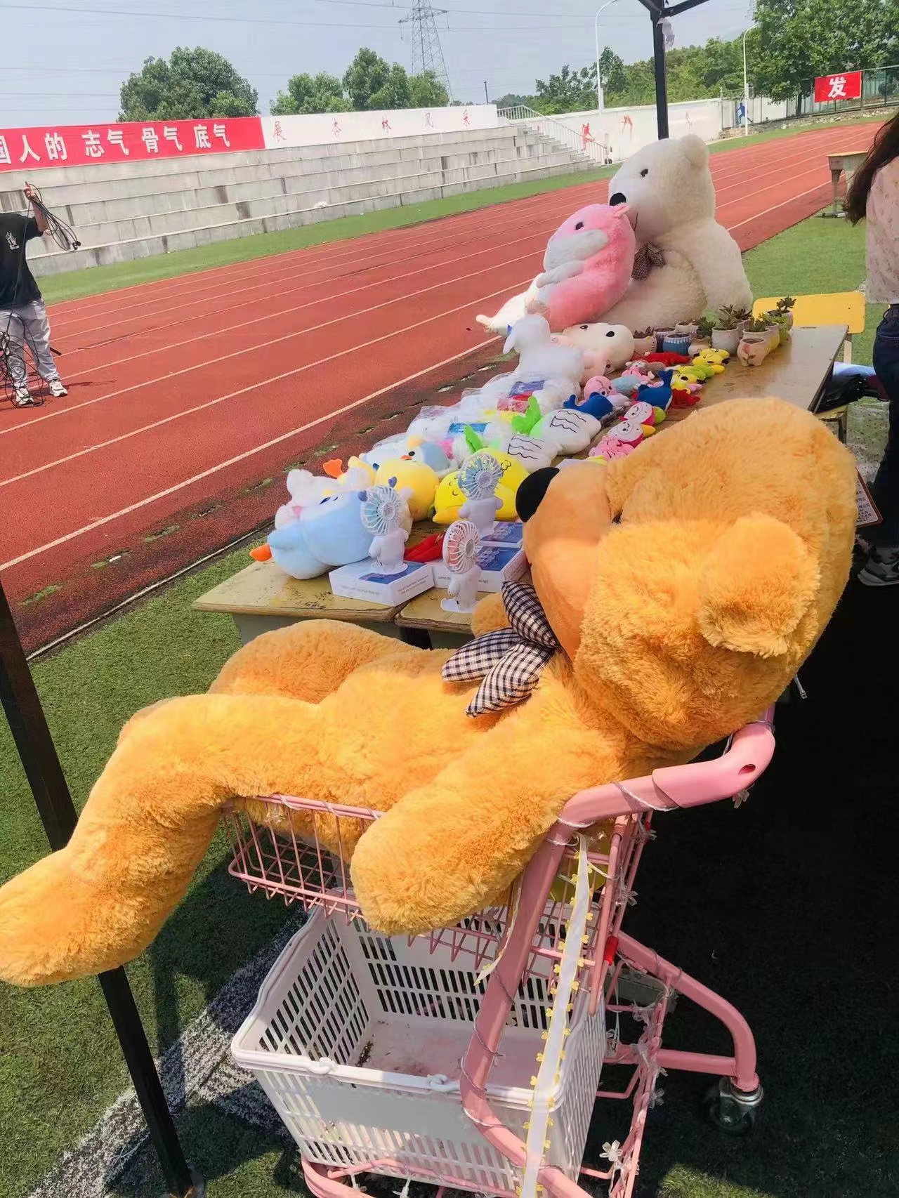 B5CADF6FB6E23D8791265B77B1B_0FCD1533_B9921