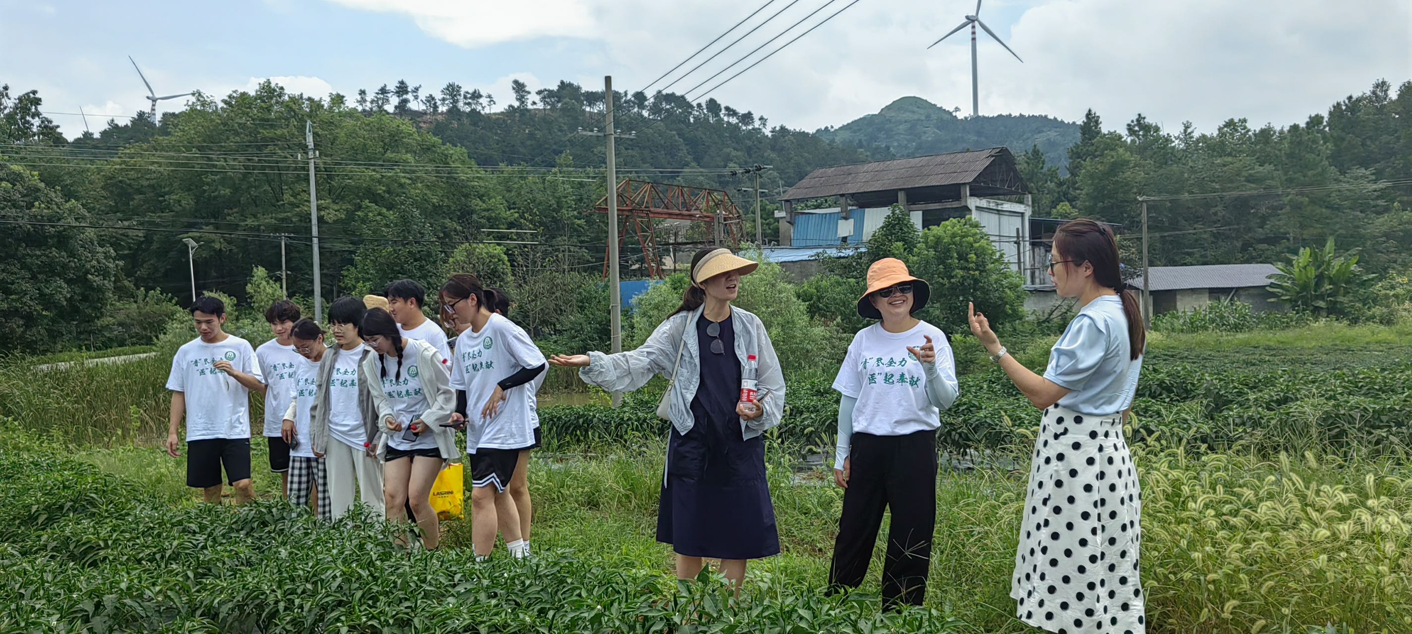 BC56810E6DD9778C05414C719BB_DA94719C_A455F