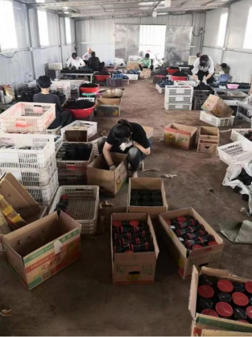 6CAA7533791395321177FB75DD7_E03CBEF1_C9BC