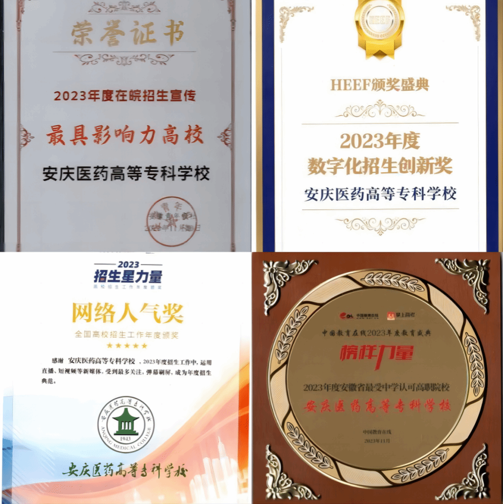 95328DEA0CF8EC0819DCEA95B9C_5FD11C61_4D19B