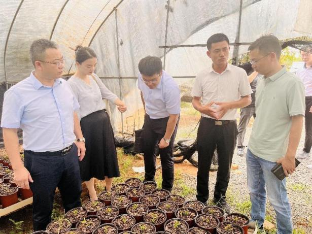 285F6EB88C4AFF7D001AEB4832E_E158046D_778BC