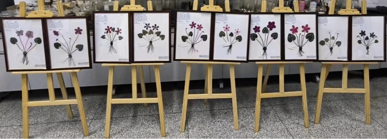 92ECB4ED1610574A52632393599_DA67BEF9_5025D