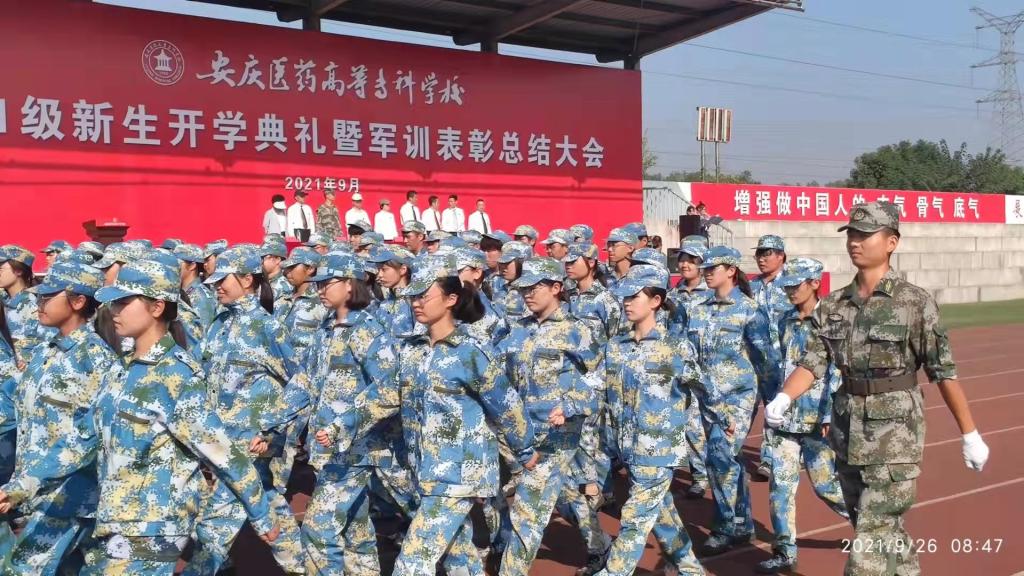 1B5394BE0CEA9A42F99E70435B2_D2040ED8_21A38