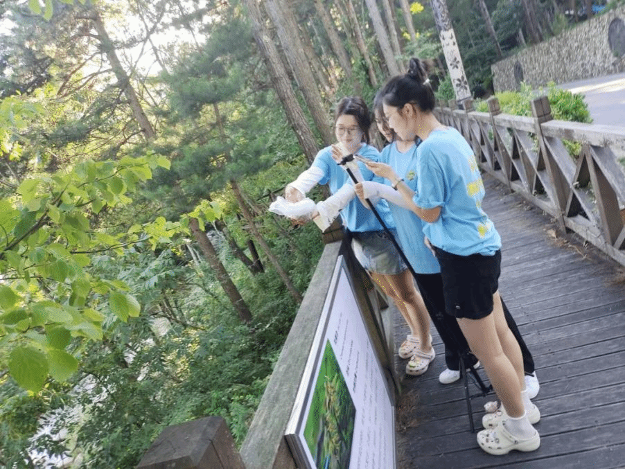 3F33A6159558FFED7427C14C9E8_DA7C07D1_65518