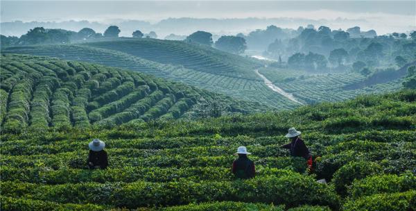 09D8DD95B0CEBA3C42CF21C3103_9597F4EA_B089.jpg?e=