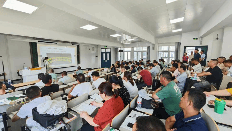 1B8C485DDE7724241DAD7E47385_E854A71A_4005A