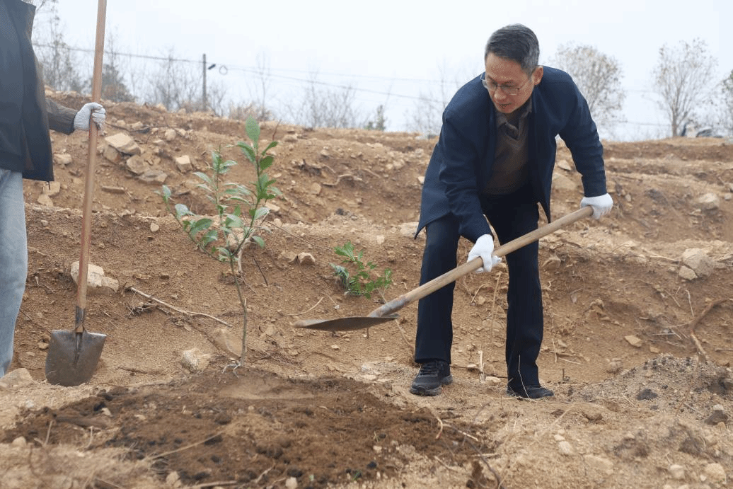 BFAD6121BF992BB3A657B41B805_BDBE6F37_6ECDC