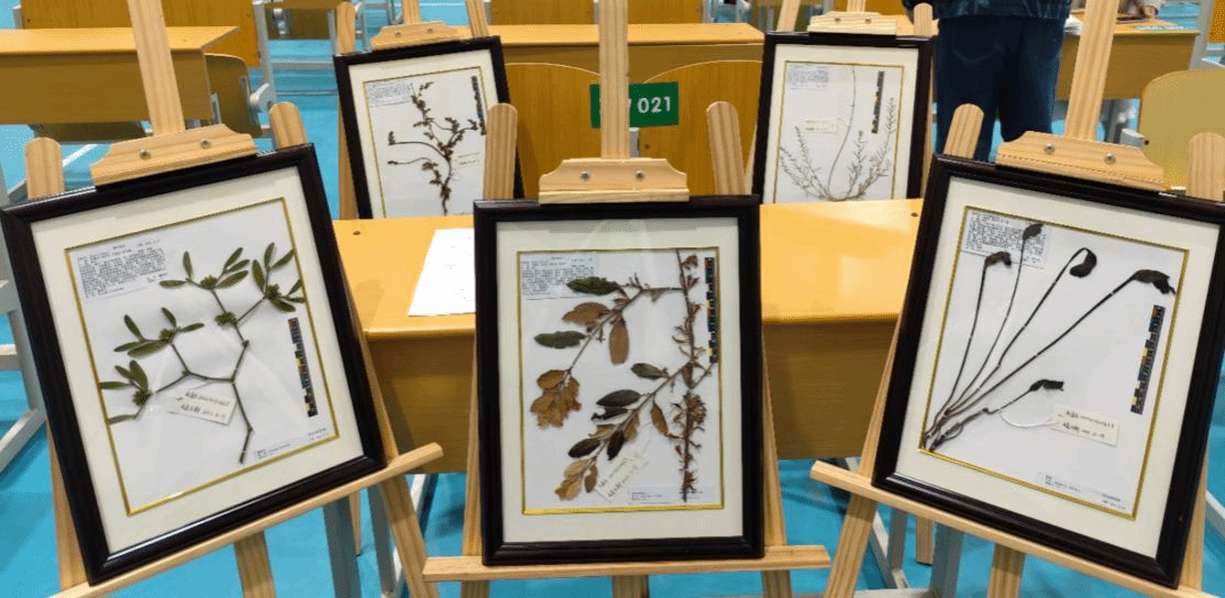 5F5E7E14BA4C7EF0B0BF8485368_AA0A0952_4A44C