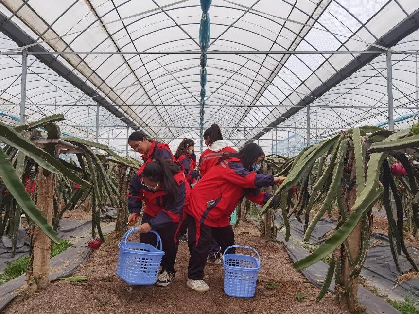 8573804A76BEFC1D01ED2140E53_E158DA76_2BB8E